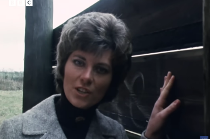 bbc ancient lights report