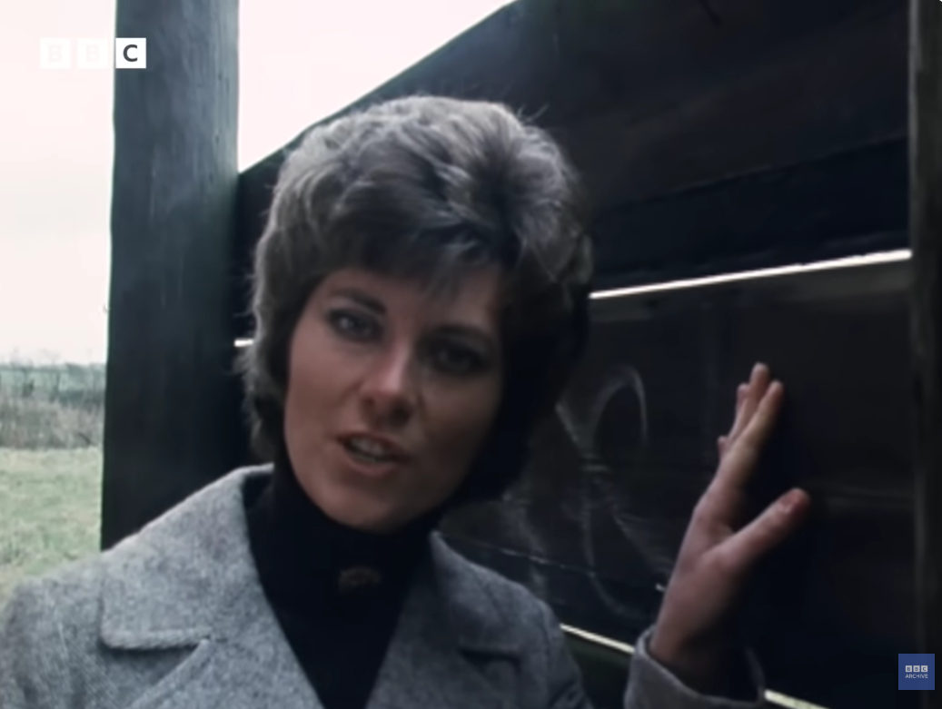 bbc ancient lights report